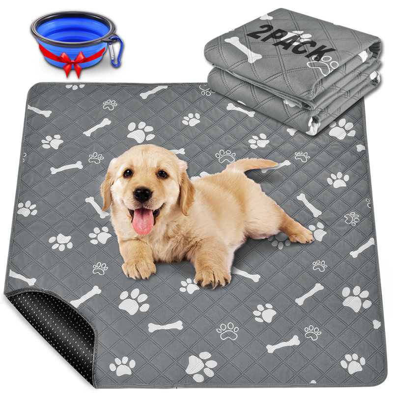 Pet pee pads clearance